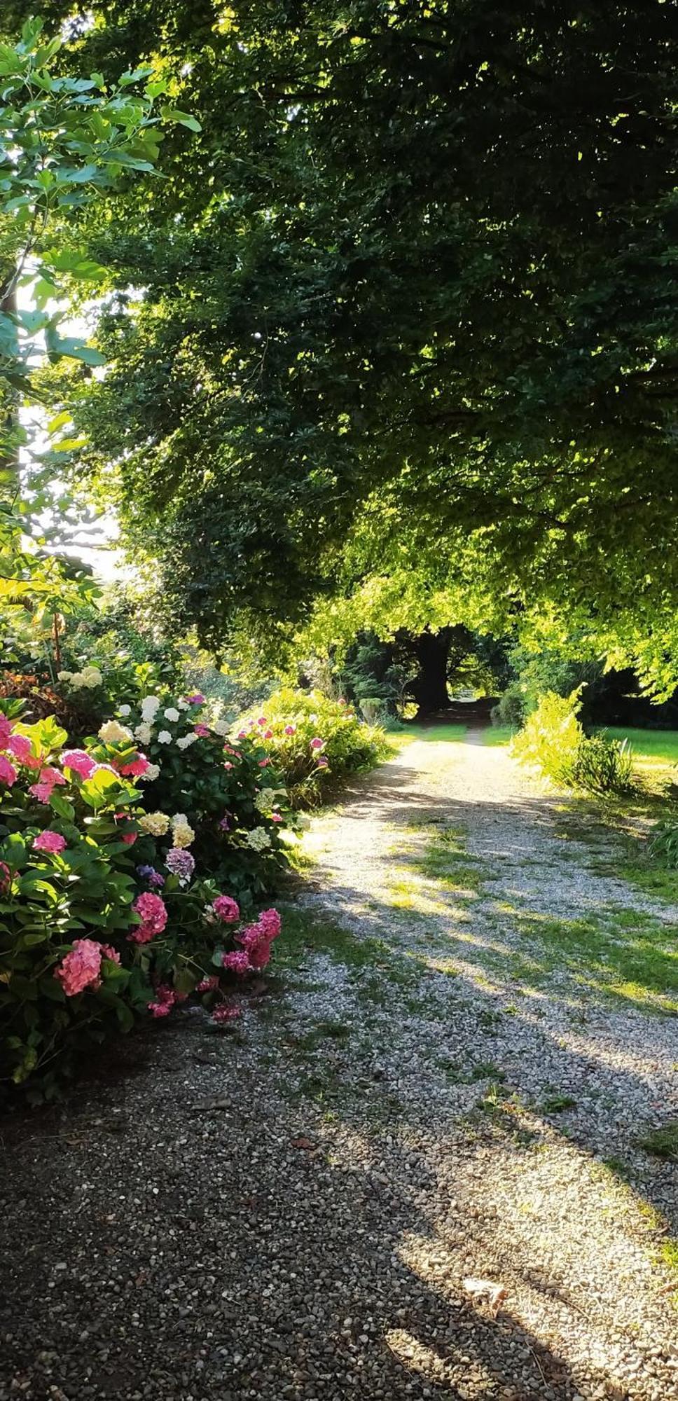 Casale Del Cantico Brenta Εξωτερικό φωτογραφία